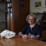 20221018134144 136a1182 s retushh